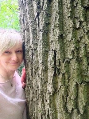 ��� ������� ����������� ��������� �������� ���������: ��������������� ������