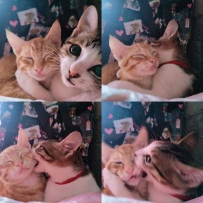 ��� ������� ����������� ��������� ���� ��������� � ������ ��������?