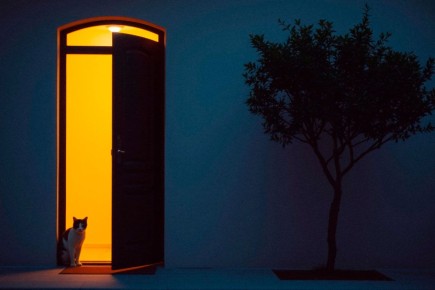 ��������� ����� ��������� � ���������: ����� � �������������� � ������������