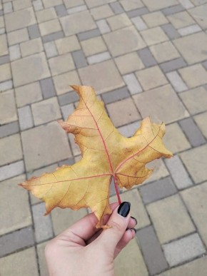 Как понять, что любовь превратилась в зависимость: ключевые признаки