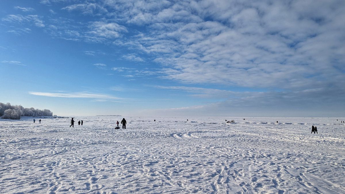 ������ �������� � ������: ��� ����� � ������ ������� �������� �������