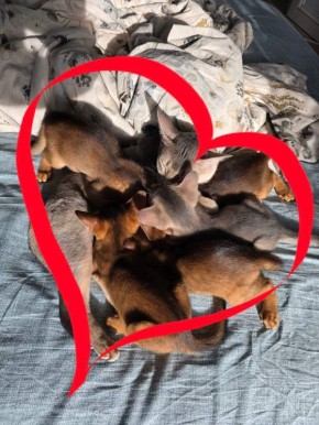 14 �������: ��������, ����� ������ ����� �������