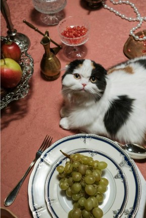 �������� �������������: ��� ������ � ������ ����� ����� ���������