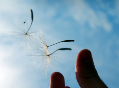 Отпускание: путь к себе и новой жизни