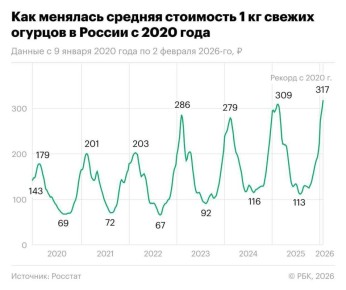Долгожданный тренд: Как огурцы могут изменить крипторынок