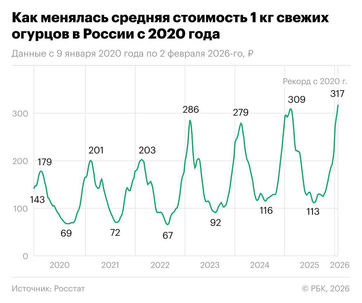 Долгожданный тренд: Как огурцы могут изменить крипторынок