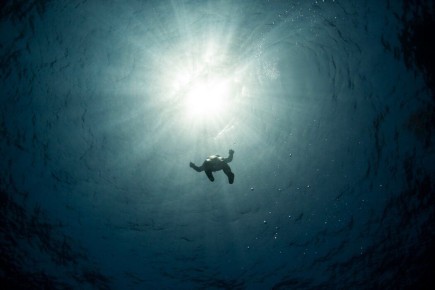 Как достичь просветления: просто или сложно?