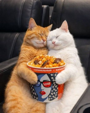 ������������� ���� �������: ��������� ����� ��� ����� � ��������