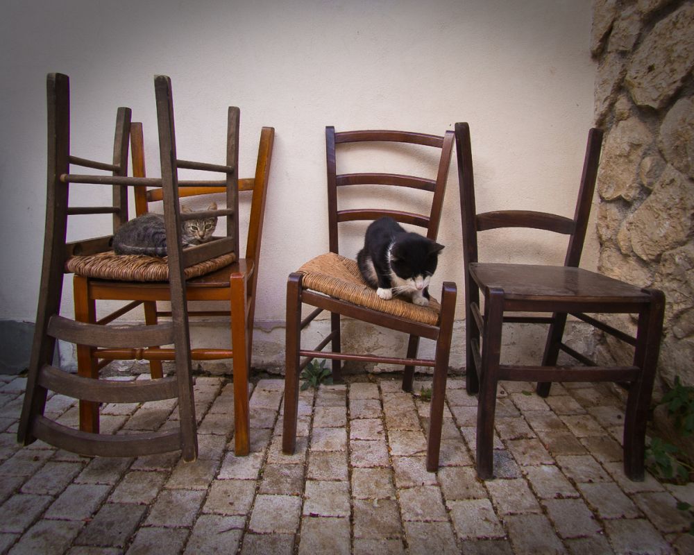 Второе дыхание старого стула: простой план реставрации для каждого