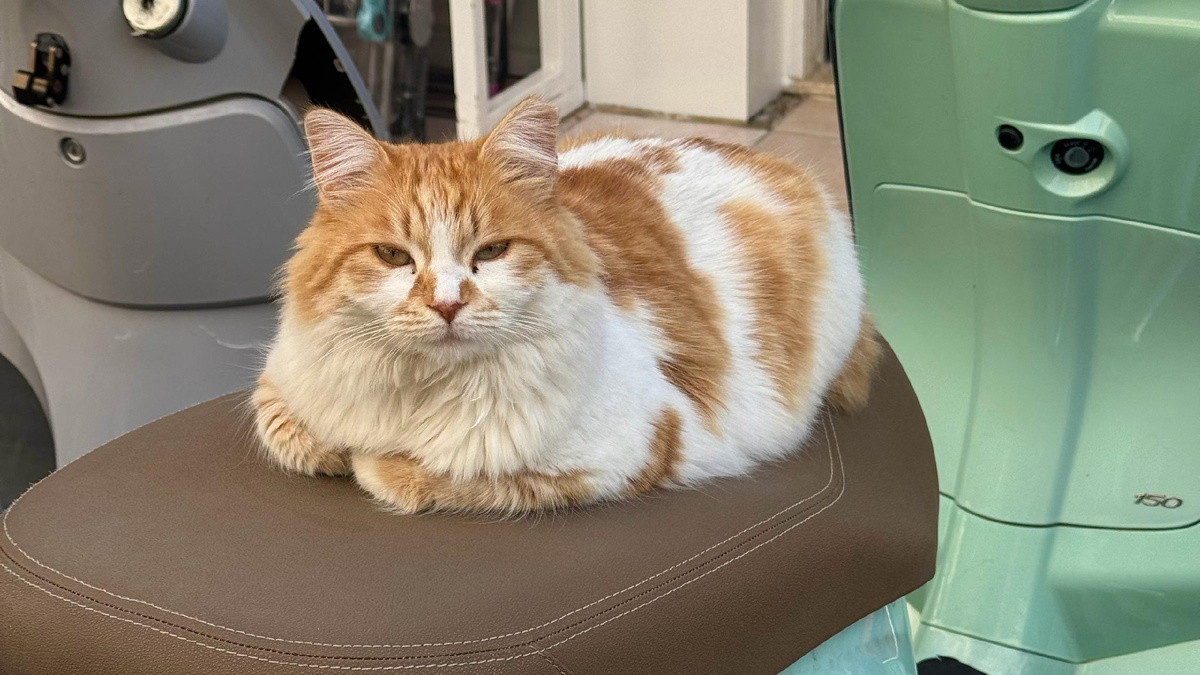 Жизнь у моря: правда о жизни в Турции за 140 тысяч рублей