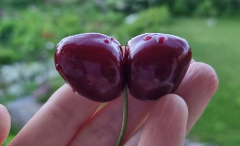 ��� ������� �������� ������ �� ��������� � ����������� ��������