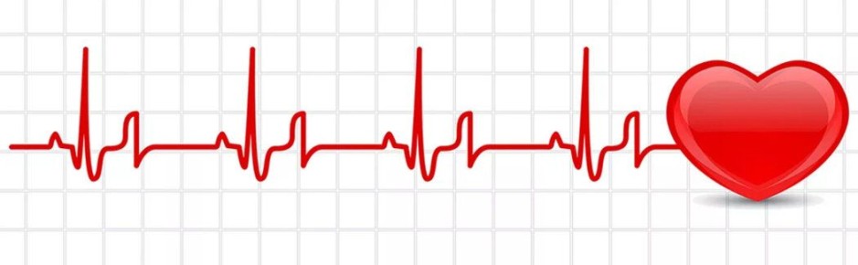 �� ������� �������� � ����������: ���� � ��������� �������