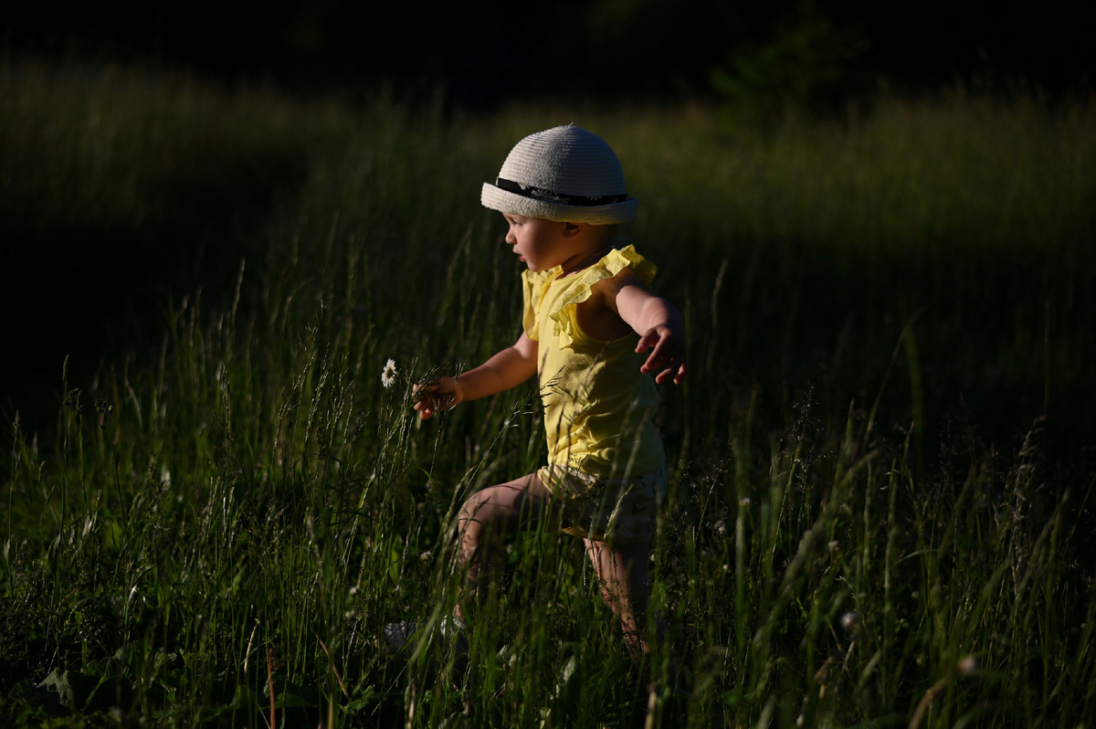 Декрет: между волшебством и реальностью
