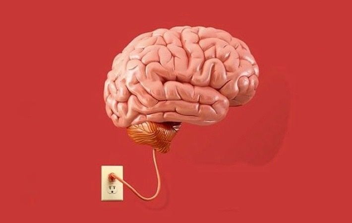 ����� �� �������� ���������: ������� ������������