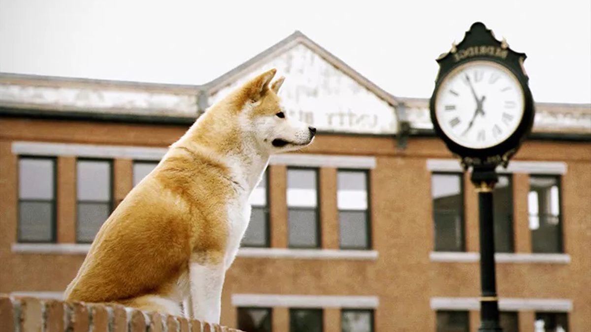 ������� ������ � ������, ������� �������� ��� �������