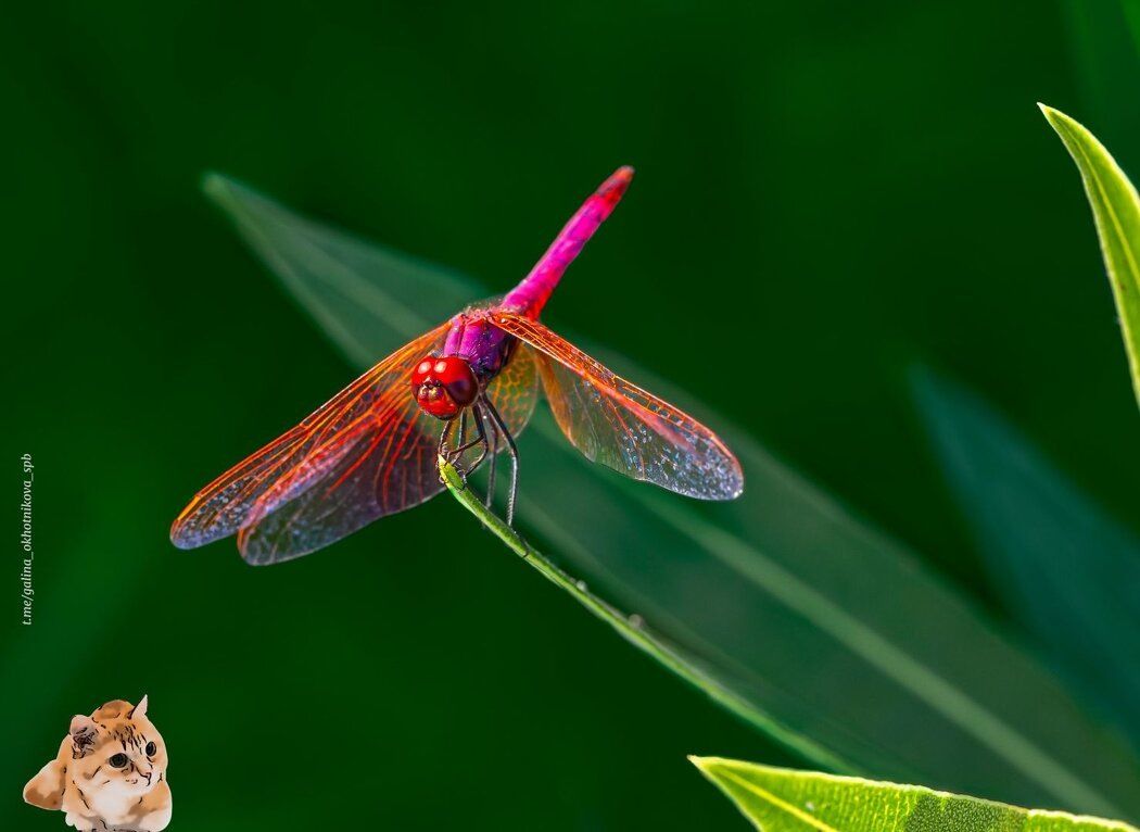 ��������: ������ �������� � ���� � ����� �����