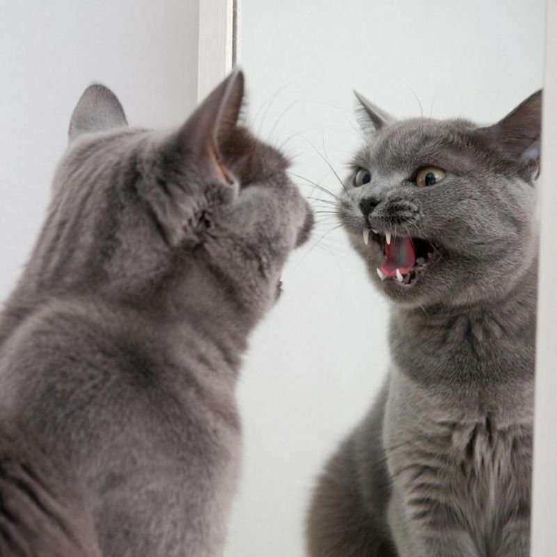 ���������� �������: ��� ���������� ������ �� ����������