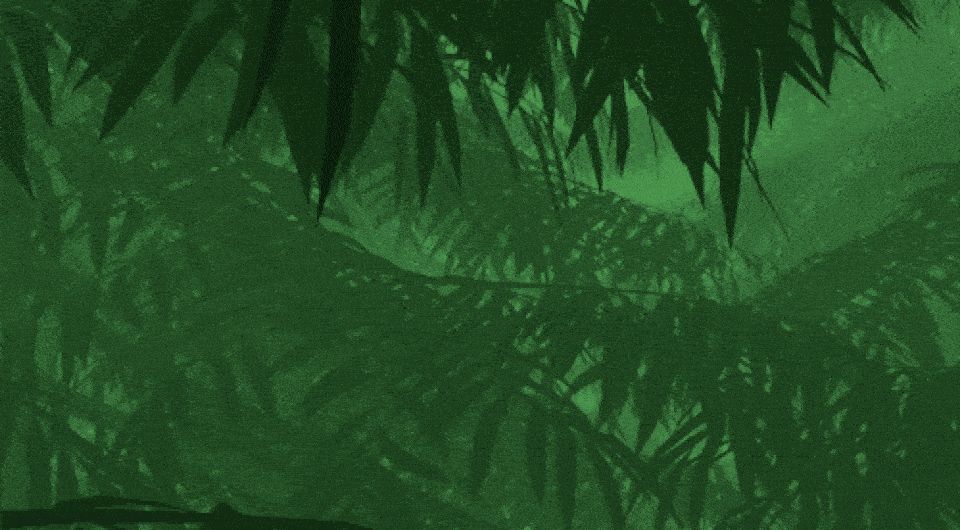 ������� ��� ���� � ��������� ������������ ��������