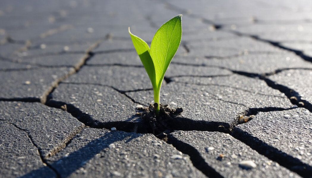 ��� ������������ ���� ��� ����������� � ���������� ������