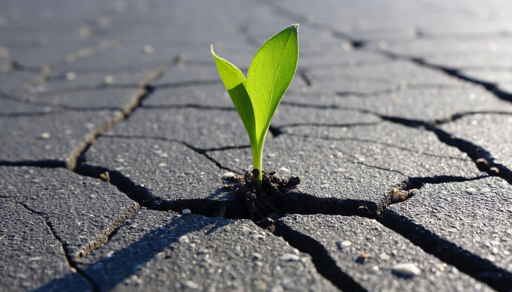 Как психотерапия учит нас справляться с жизненными бурями