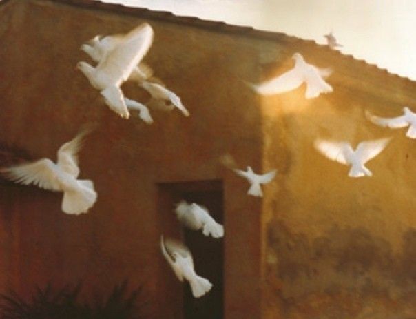 Почему психологам важно говорить о своей смерти