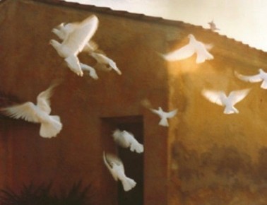 Почему психологам важно говорить о своей смерти