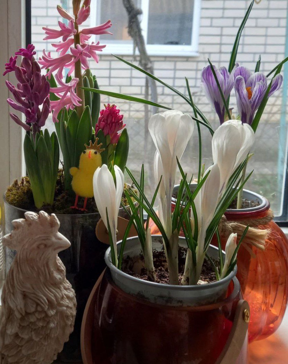 Как найти время для себя в суете повседневной жизни