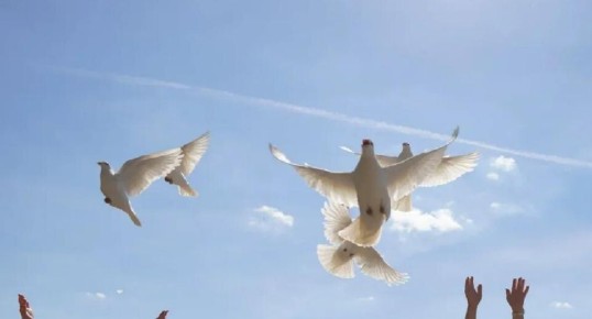 Возрождение «Любовь и голуби»: комедия на сцене местного Дома культуры