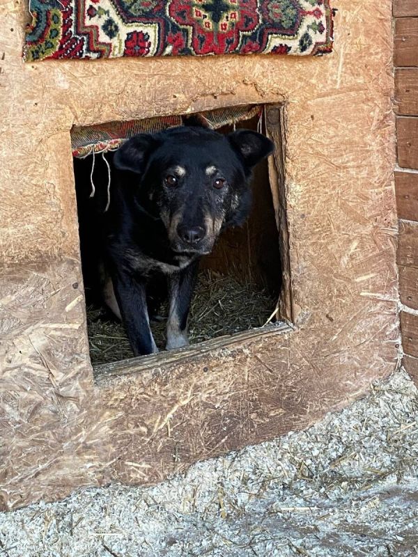 �������� � ������ �������: ��� �� �� ����� ����?