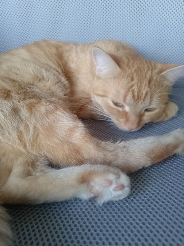 ����� ��� ��������: ��� ���������� � ��������� �������?