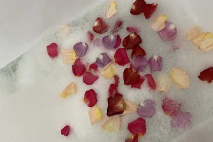 ��� ���������� �� �������� ��������: ������ ���������