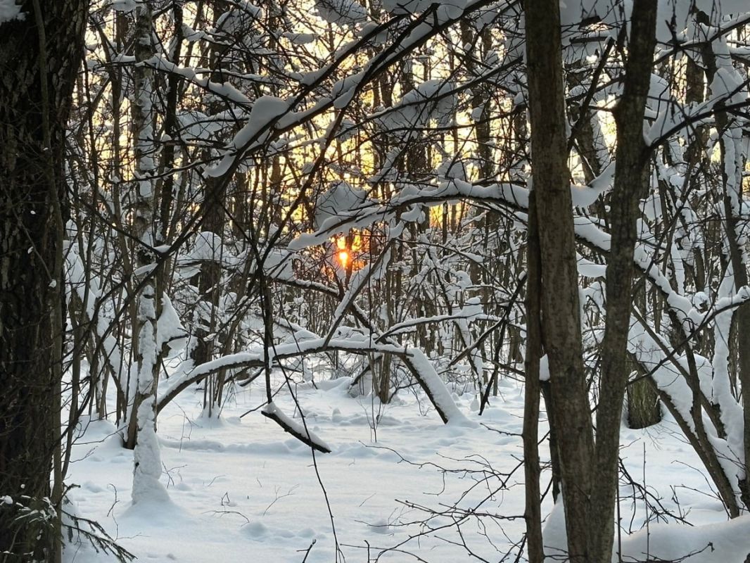 ���� � ����� � ������