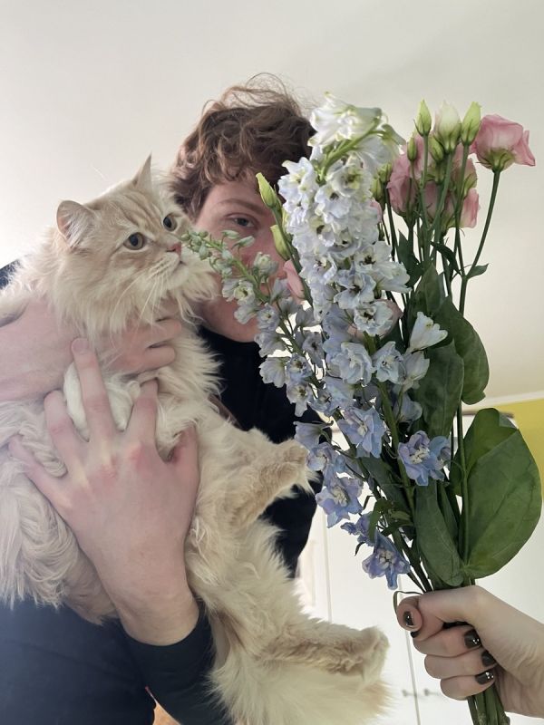 ��� ������������ �� �������� �����������