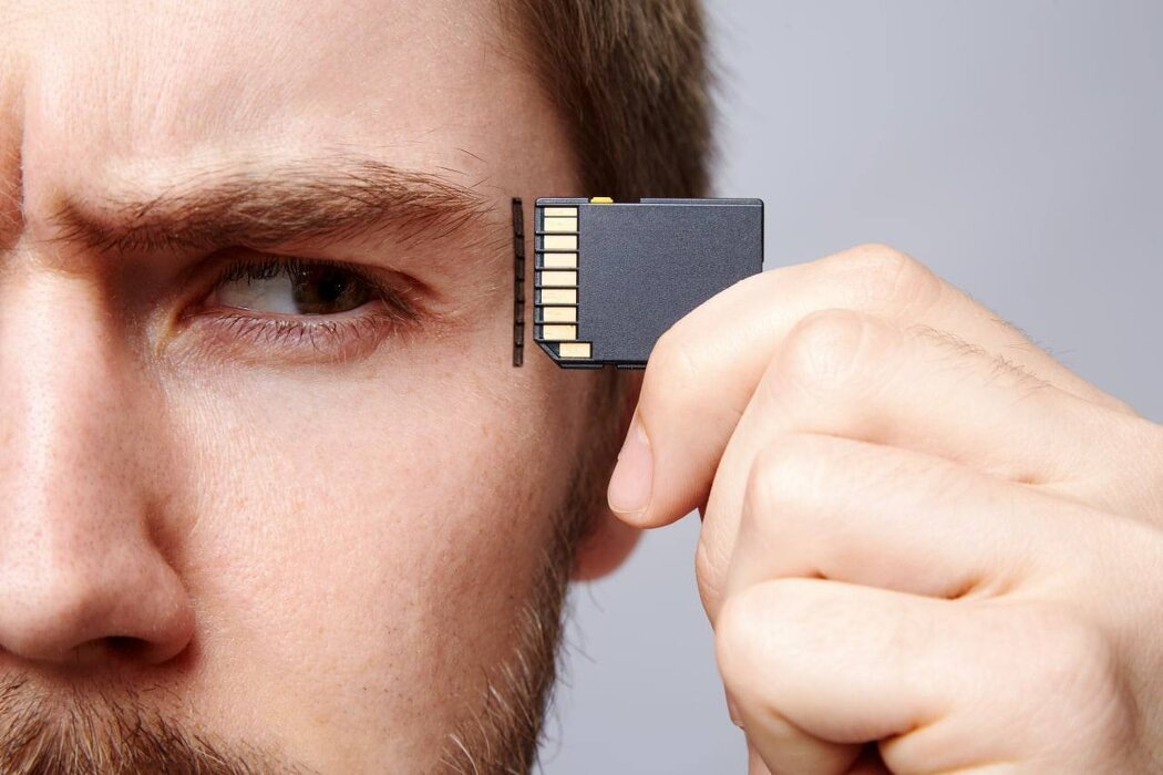 Как устроена память: таинства сознания