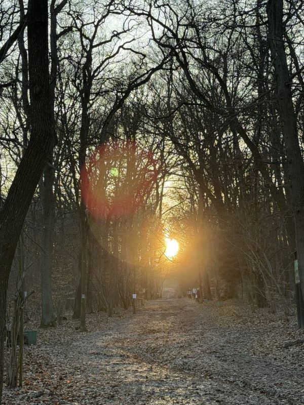 ����� ����� ���������� � ���������� �������?