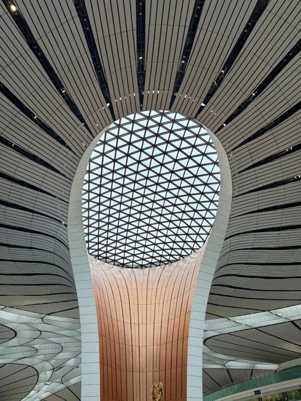 ����� ���� ���������: ��� ��������� ����������� �����