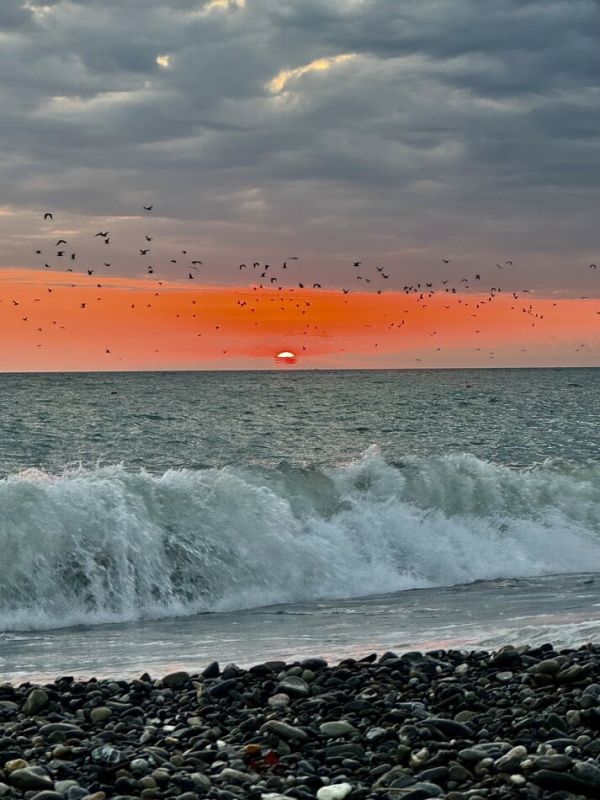 ��� ���������� ���������������� ������� � ��������� � �����������