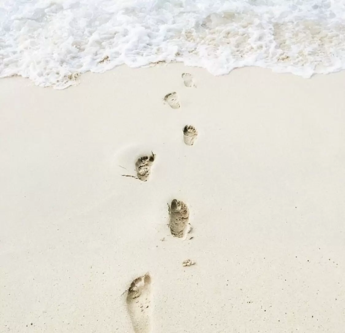 Важность самовнимания