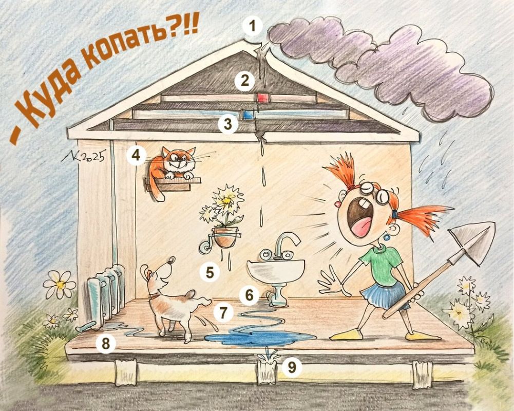 ������ ����������� ����� ��� ���������?