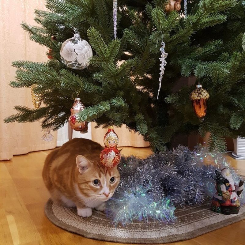 ��� �������� �������� �������� � ���������� ���������