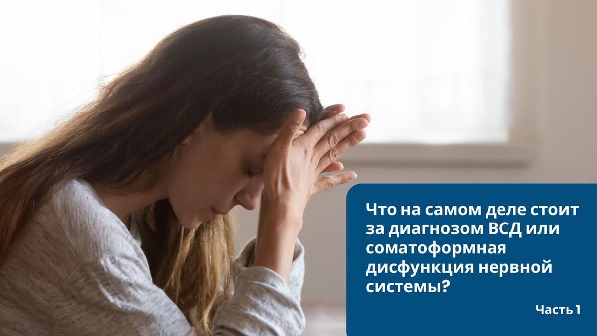 ������ ���: ��� ������ �� ��������� � ��� � ���� ����������