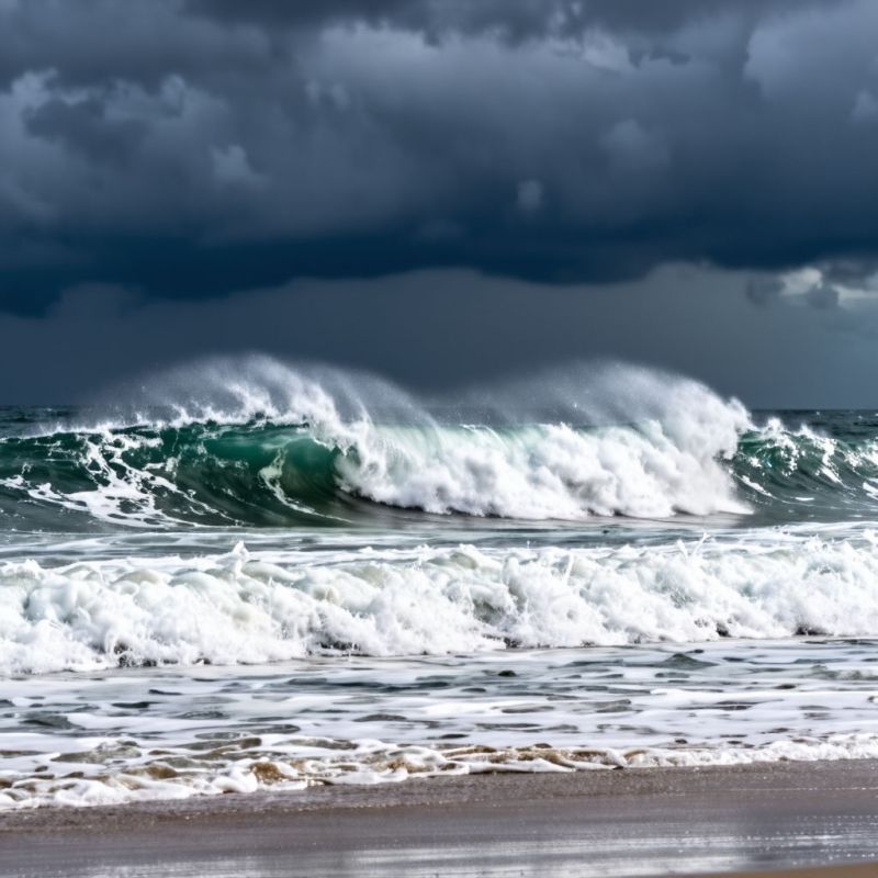 ���������� �������: ��� ����������� ������ ������ �� ���� ����������� ���������