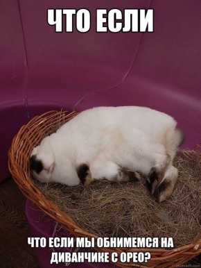 ���� � ����������� ������������: ��� �������� ������� ���������