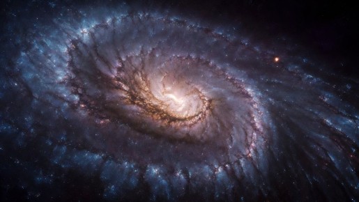 ����� ������ ��������� ����