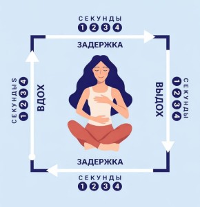 ��� ���������� � ��������: ������������ ������������