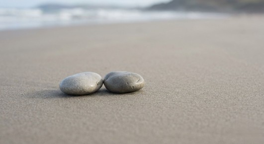 ���������� � ����������: ��� ������ ������ �� �����