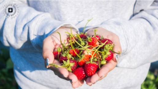 ������� ��������: ��� ��������� ����� ����� ����� �����������