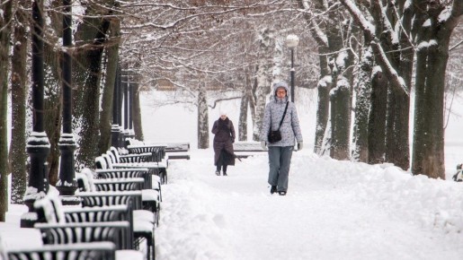 ������ �������� ������ ����������: ����� ���� ����� �������� � ����