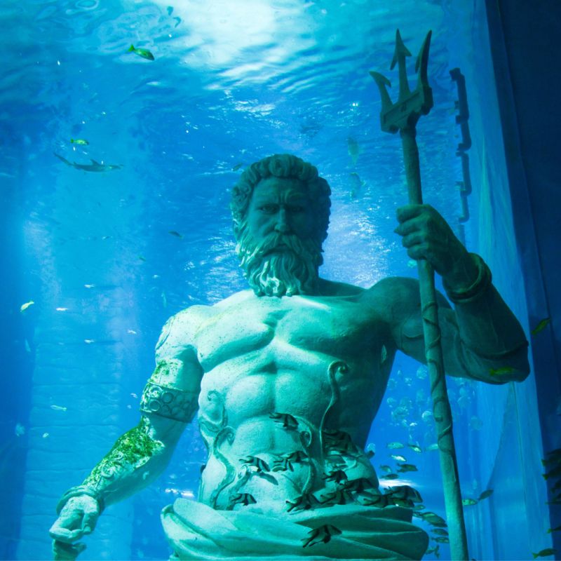 ������� ��� ����: ������� ��������� � ������� ����������