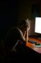 Секреты виртуальной измены: стоит ли паниковать из-за эротического контента?